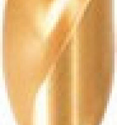 Tuyau Ø 50 Long 20 Ml Nu 40 Bars
